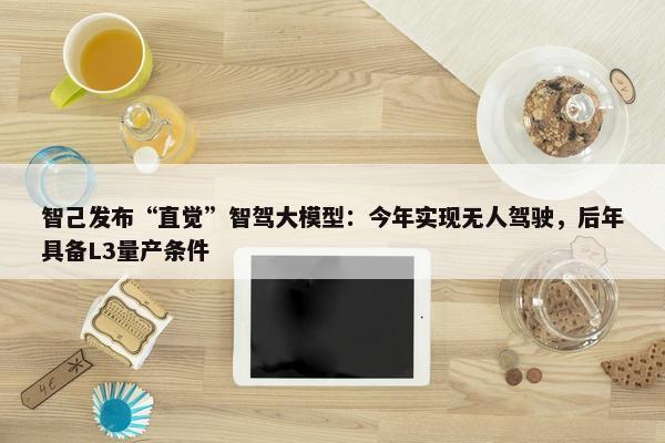 智己发布“直觉”智驾大模型：今年实现无人驾驶，后年具备L3量产条件