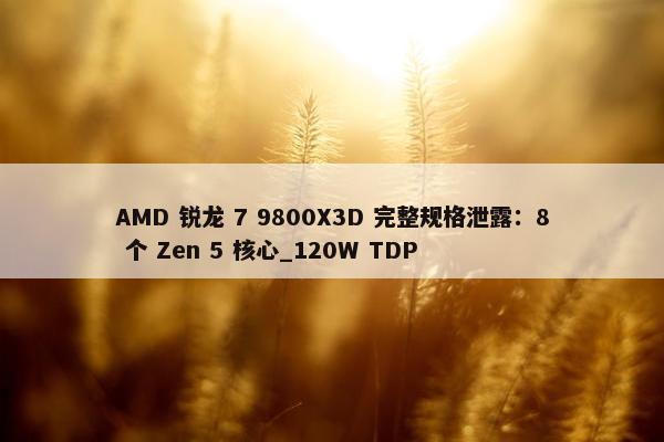 AMD 锐龙 7 9800X3D 完整规格泄露：8 个 Zen 5 核心_120W TDP