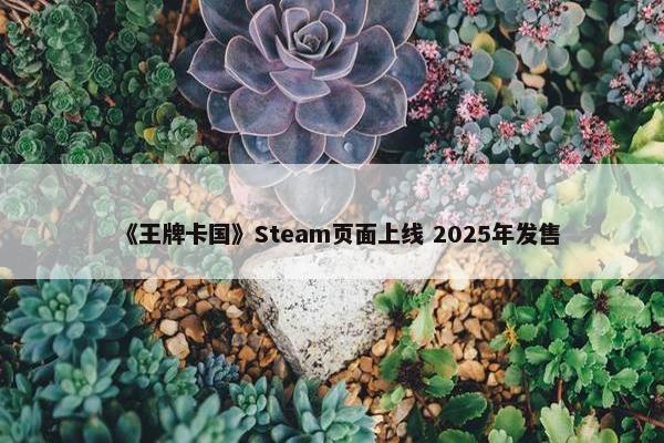 《王牌卡国》Steam页面上线 2025年发售