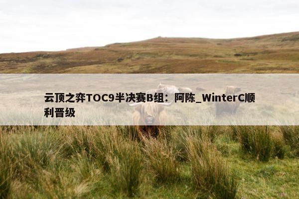 云顶之弈TOC9半决赛B组：阿陈_WinterC顺利晋级