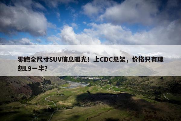 零跑全尺寸SUV信息曝光！上CDC悬架，价格只有理想L9一半？