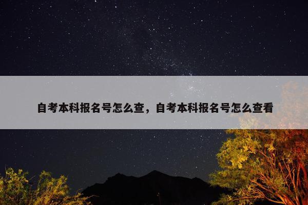 自考本科报名号怎么查，自考本科报名号怎么查看