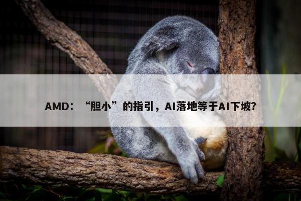 AMD：“胆小”的指引，AI落地等于AI下坡？