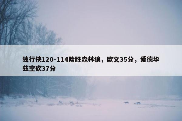 独行侠120-114险胜森林狼，欧文35分，爱德华兹空砍37分