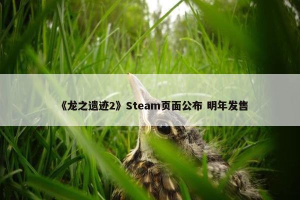 《龙之遗迹2》Steam页面公布 明年发售