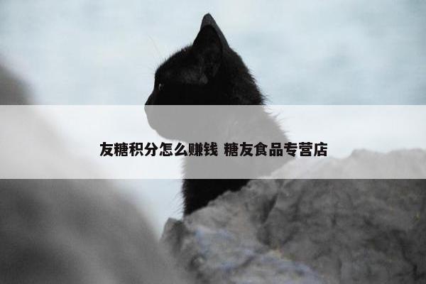 友糖积分怎么赚钱 糖友食品专营店