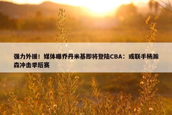 强力外援！媒体曝乔丹米基即将登陆CBA：或联手杨瀚森冲击季后赛