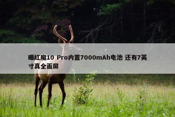 曝红魔10 Pro内置7000mAh电池 还有7英寸真全面屏