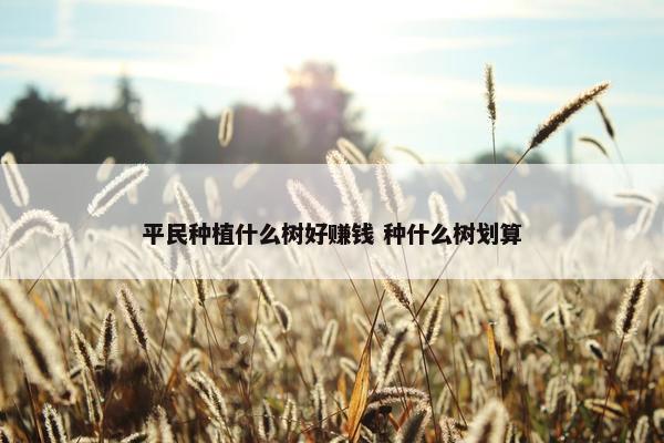 平民种植什么树好赚钱 种什么树划算