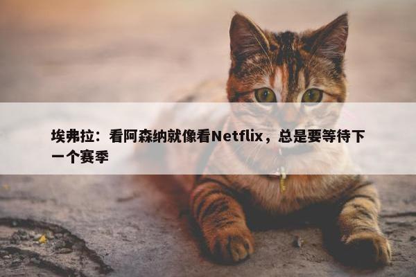 埃弗拉：看阿森纳就像看Netflix，总是要等待下一个赛季