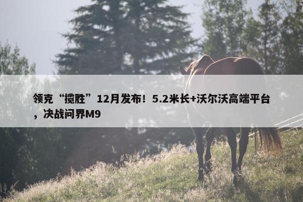 领克“揽胜”12月发布！5.2米长+沃尔沃高端平台，决战问界M9