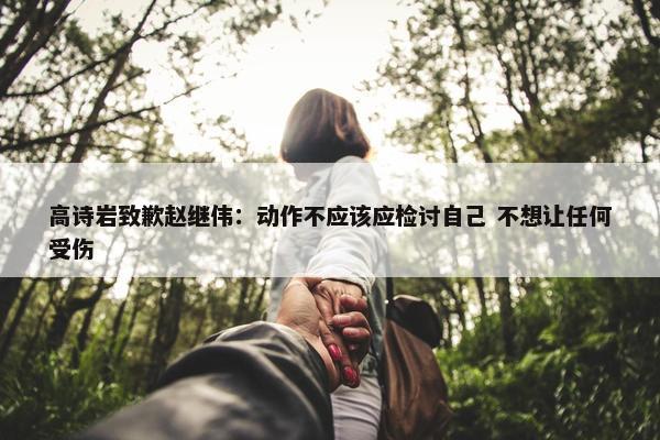 高诗岩致歉赵继伟：动作不应该应检讨自己 不想让任何受伤