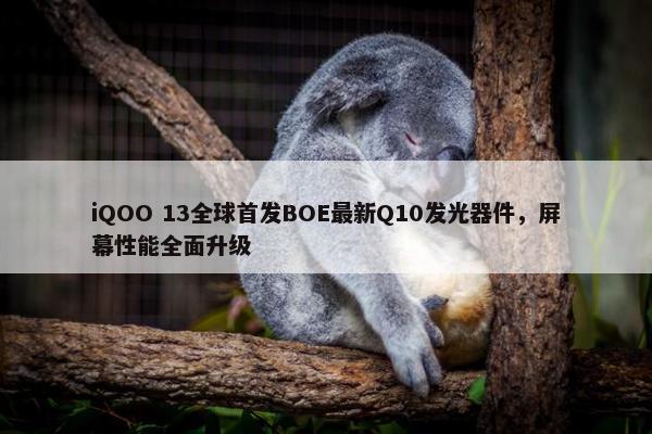 iQOO 13全球首发BOE最新Q10发光器件，屏幕性能全面升级