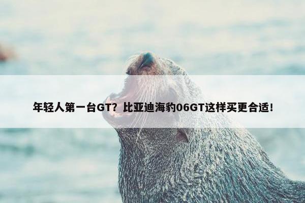 年轻人第一台GT？比亚迪海豹06GT这样买更合适！