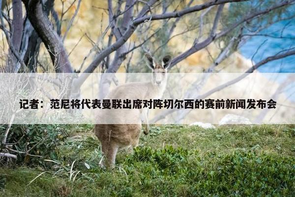 记者：范尼将代表曼联出席对阵切尔西的赛前新闻发布会