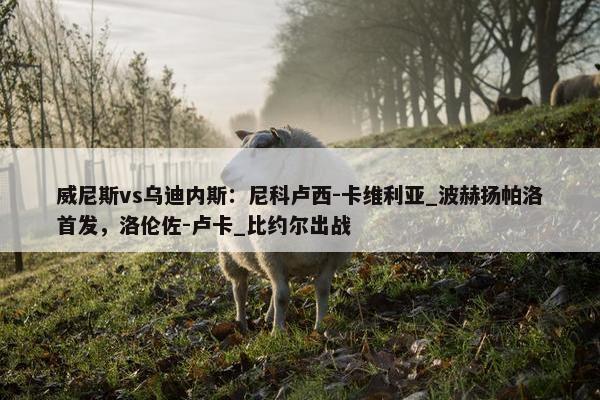 威尼斯vs乌迪内斯：尼科卢西-卡维利亚_波赫扬帕洛首发，洛伦佐-卢卡_比约尔出战