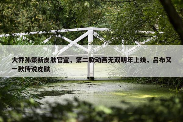 大乔孙策新皮肤官宣，第二款动画无双明年上线，吕布又一款传说皮肤