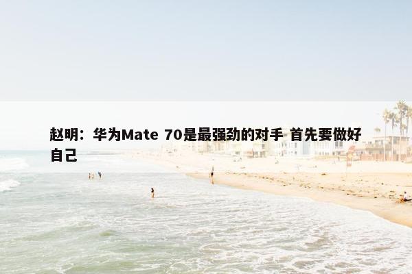 赵明：华为Mate 70是最强劲的对手 首先要做好自己