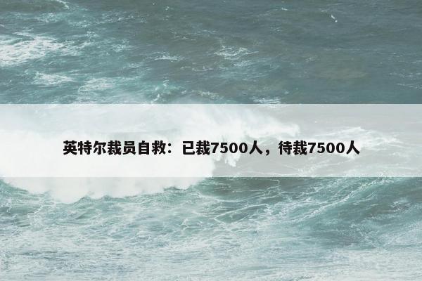 英特尔裁员自救：已裁7500人，待裁7500人