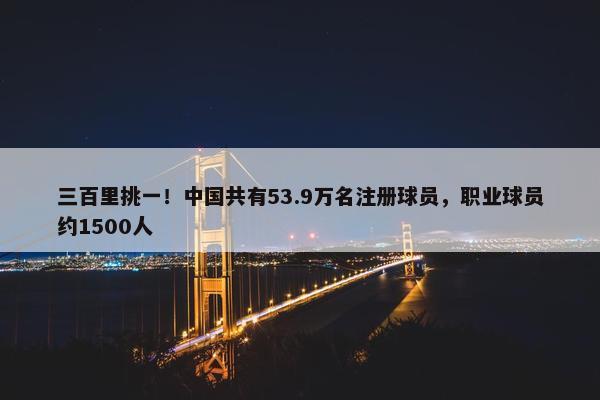 三百里挑一！中国共有53.9万名注册球员，职业球员约1500人