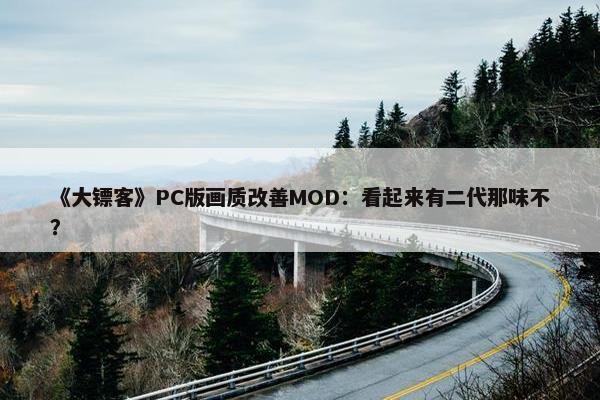 《大镖客》PC版画质改善MOD：看起来有二代那味不？