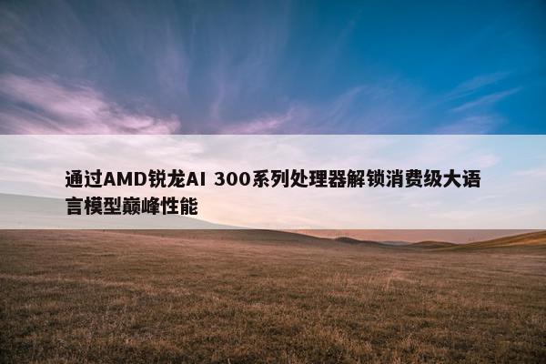 通过AMD锐龙AI 300系列处理器解锁消费级大语言模型巅峰性能