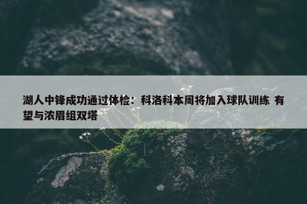 湖人中锋成功通过体检：科洛科本周将加入球队训练 有望与浓眉组双塔