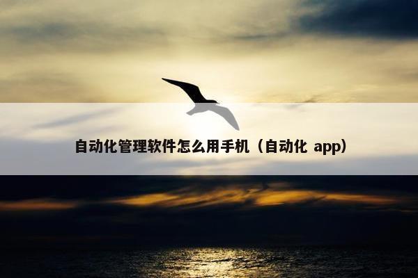 自动化管理软件怎么用手机（自动化 app）