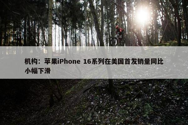 机构：苹果iPhone 16系列在美国首发销量同比小幅下滑