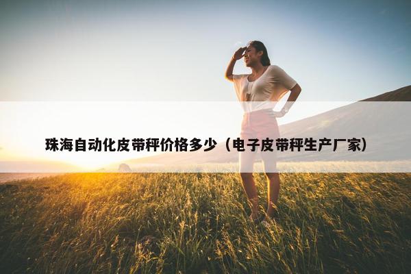 珠海自动化皮带秤价格多少（电子皮带秤生产厂家）