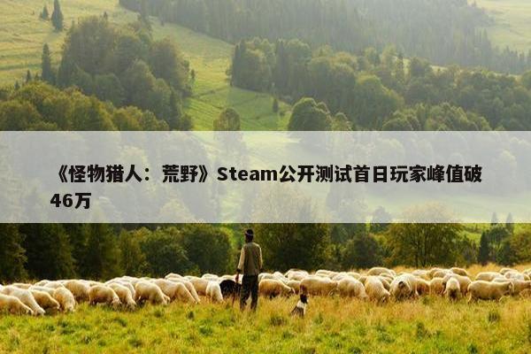 《怪物猎人：荒野》Steam公开测试首日玩家峰值破46万