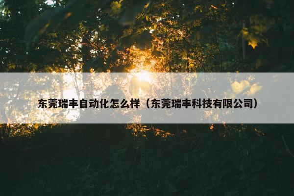 东莞瑞丰自动化怎么样（东莞瑞丰科技有限公司）