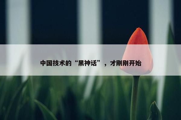 中国技术的“黑神话”，才刚刚开始