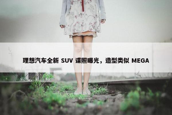 理想汽车全新 SUV 谍照曝光，造型类似 MEGA