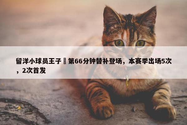 留洋小球员王子偲第66分钟替补登场，本赛季出场5次，2次首发