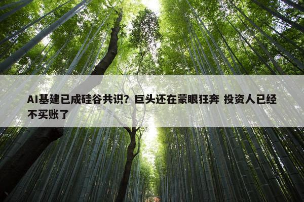 AI基建已成硅谷共识？巨头还在蒙眼狂奔 投资人已经不买账了