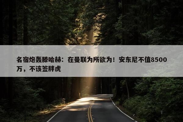 名宿炮轰滕哈赫：在曼联为所欲为！安东尼不值8500万，不该签胖虎