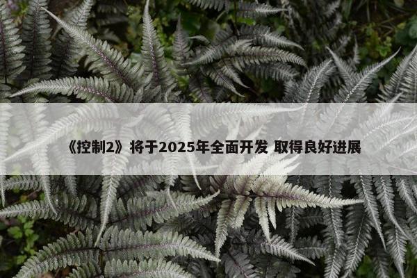 《控制2》将于2025年全面开发 取得良好进展