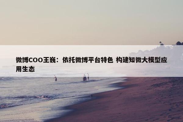 微博COO王巍：依托微博平台特色 构建知微大模型应用生态