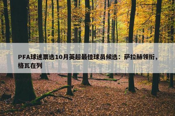 PFA球迷票选10月英超最佳球员候选：萨拉赫领衔，格瓦在列