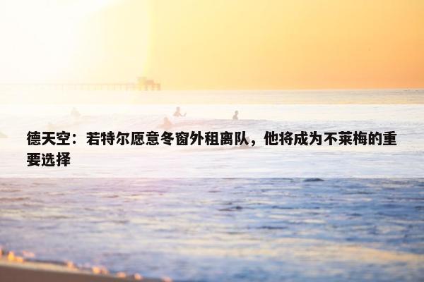 德天空：若特尔愿意冬窗外租离队，他将成为不莱梅的重要选择