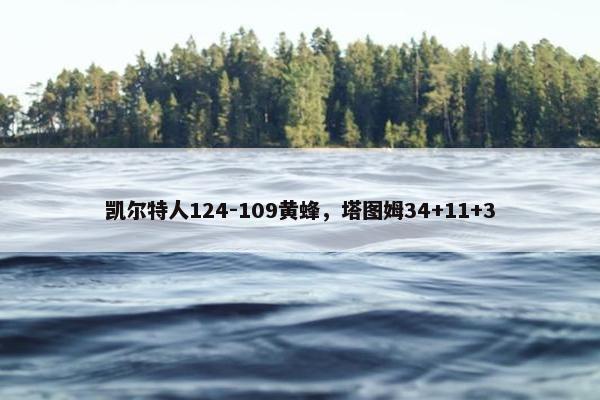 凯尔特人124-109黄蜂，塔图姆34+11+3