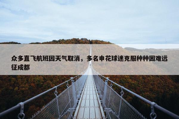 众多直飞航班因天气取消，多名申花球迷克服种种困难远征成都