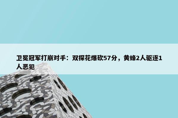 卫冕冠军打崩对手：双探花爆砍57分，黄蜂2人驱逐1人恶犯