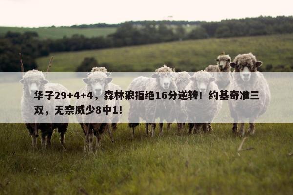 华子29+4+4，森林狼拒绝16分逆转！约基奇准三双，无奈威少8中1！