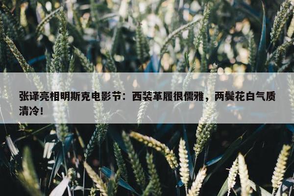 张译亮相明斯克电影节：西装革履很儒雅，两鬓花白气质清冷！