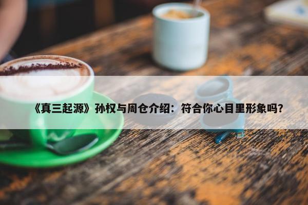 《真三起源》孙权与周仓介绍：符合你心目里形象吗？