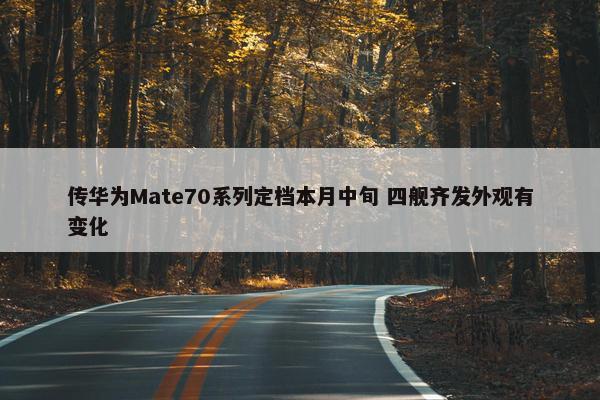 传华为Mate70系列定档本月中旬 四舰齐发外观有变化