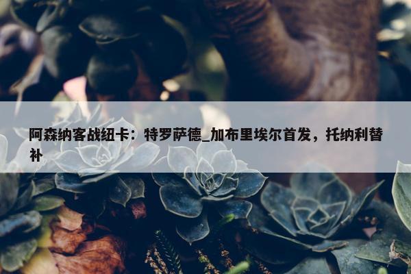 阿森纳客战纽卡：特罗萨德_加布里埃尔首发，托纳利替补