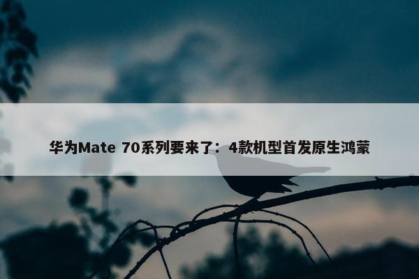 华为Mate 70系列要来了：4款机型首发原生鸿蒙